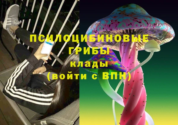 mdpv Армянск