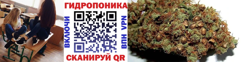 где можно купить наркотик  Темрюк  Канабис план 